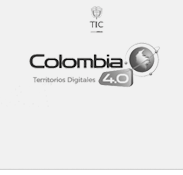 Cliente 29