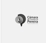 Cliente 49